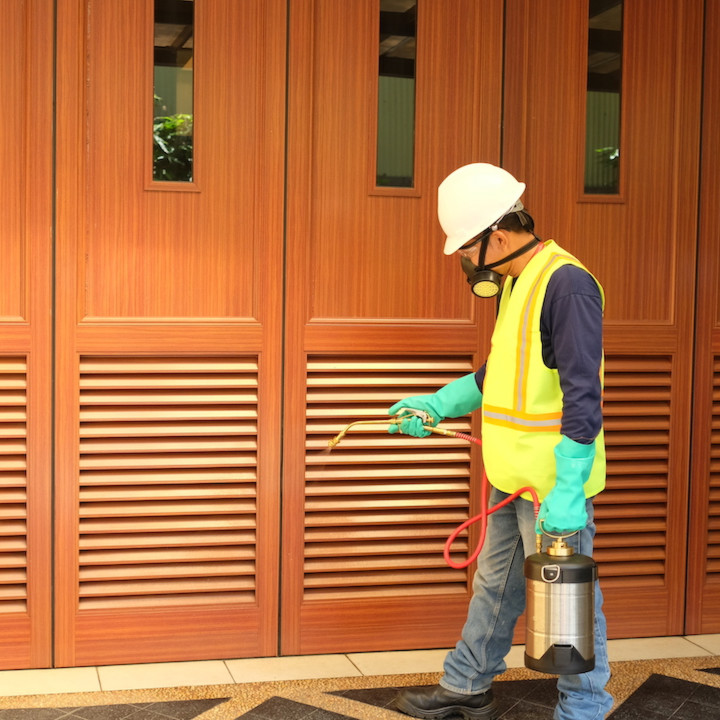 Pest Control Services